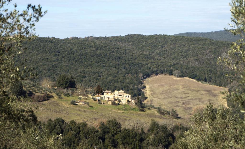 Casa Ollie Apartment Castel San Gimignano Luaran gambar